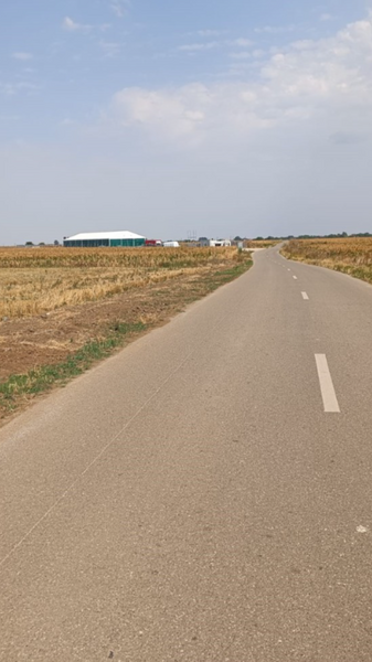 Dascalu, Creata, Ilfov,